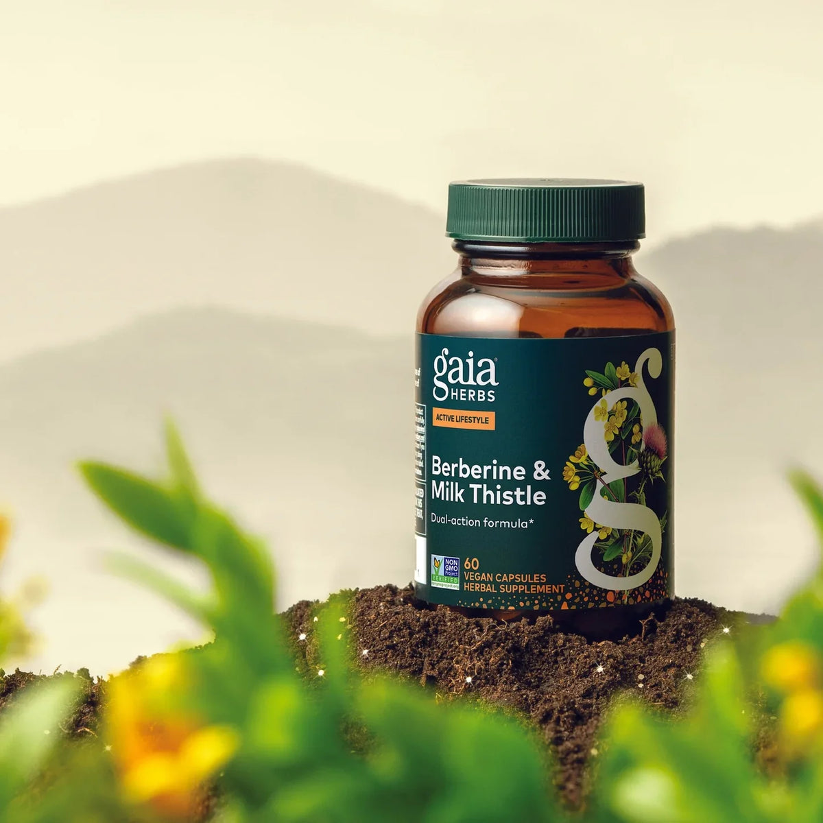 Gaia Herbs Berberine & Milk Thistle – 60 Capsules