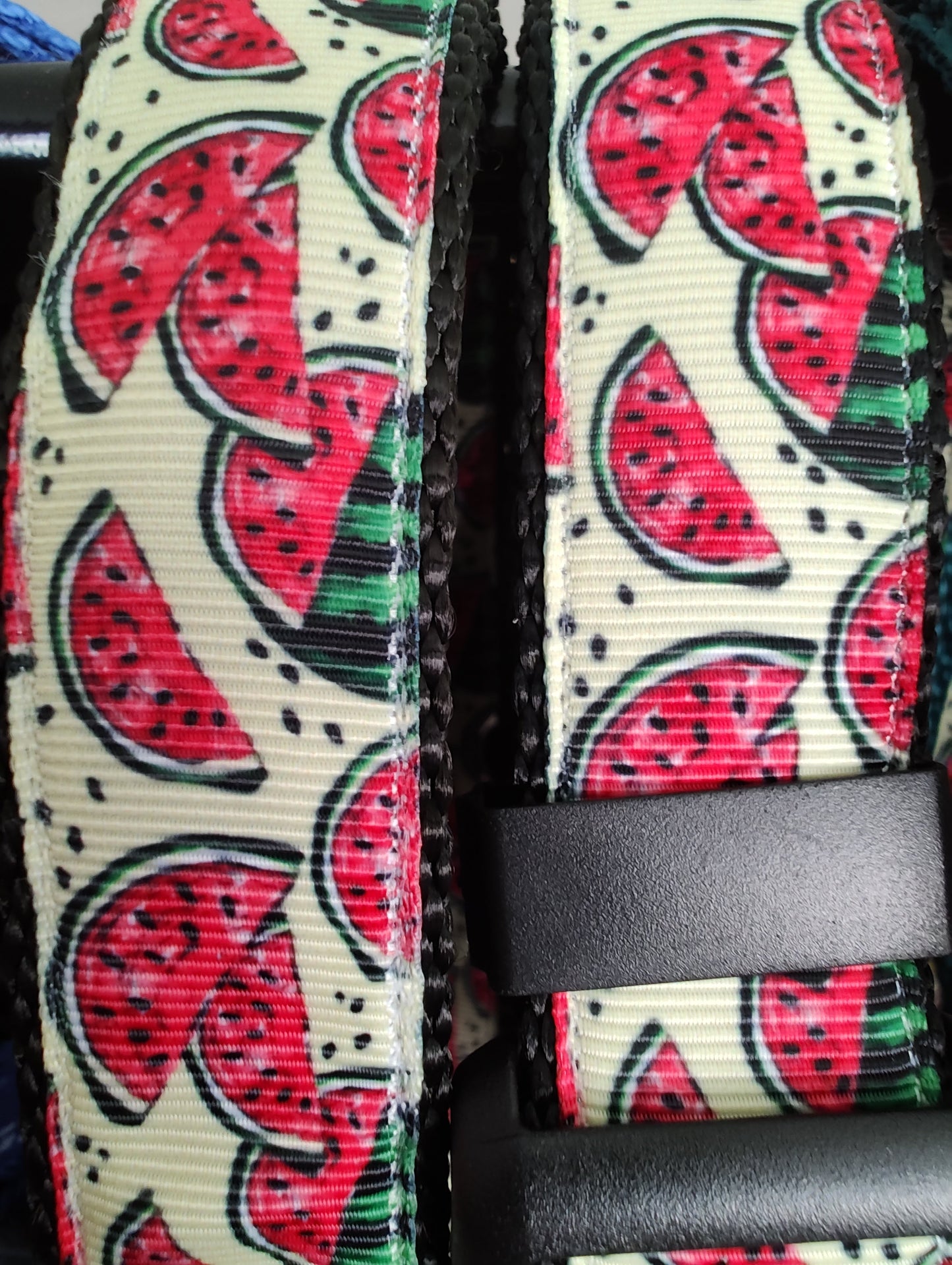 Watermelon Black Nylon Dog Collar MD, LG, XL, Leash
