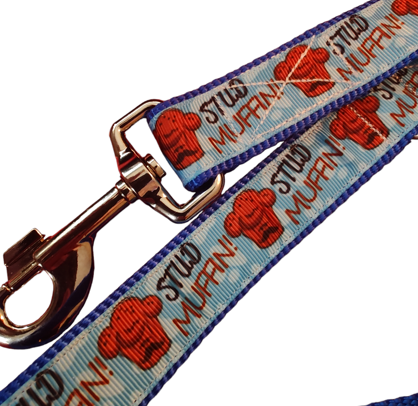 Stud Muffin Blue Nylon Dog Collar MD, LG, XL, Leash