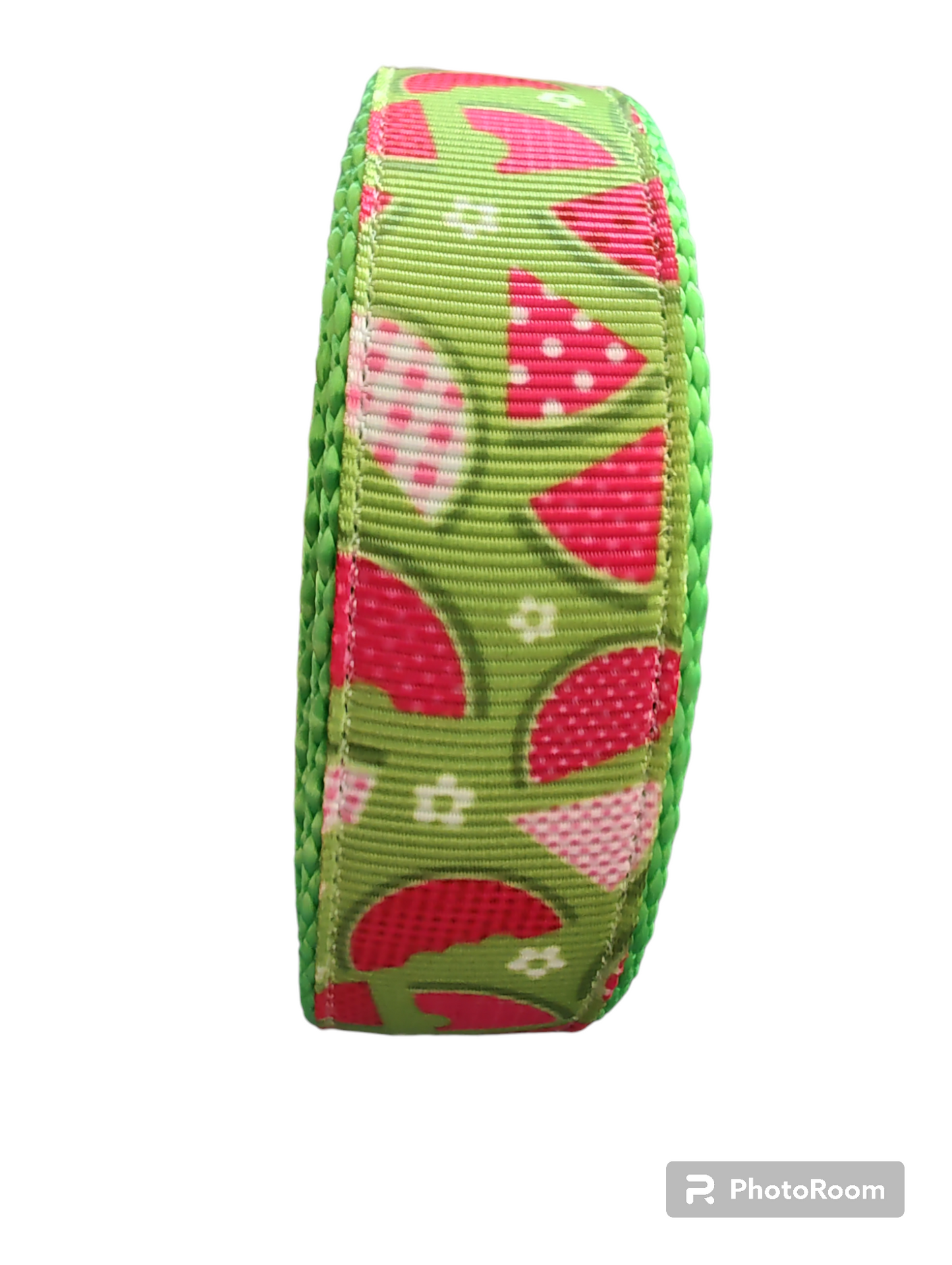 Watermelon Picnic Neon Green Nylon Dog Collar MD, LG, XL, Leash