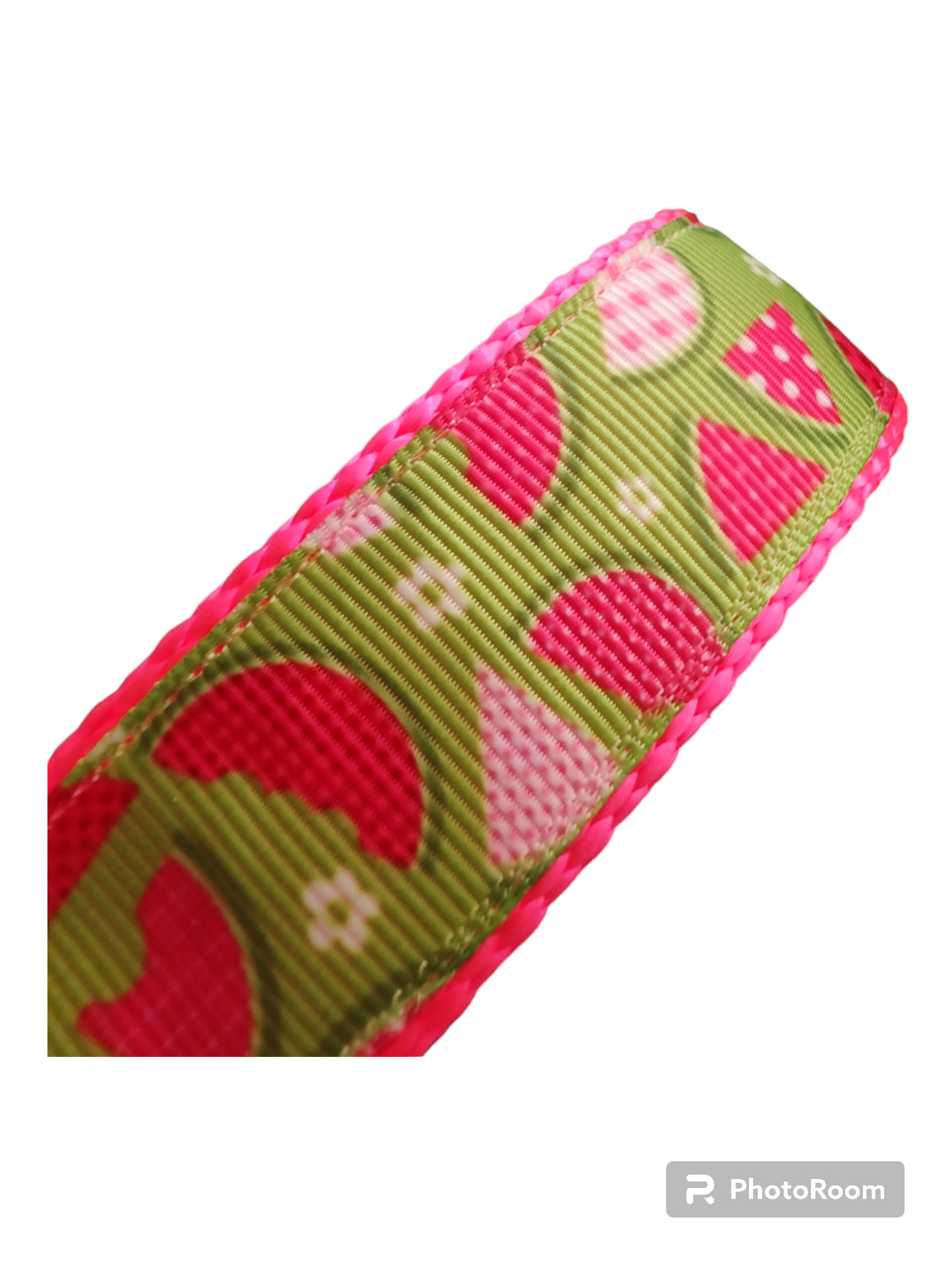Watermelon Picnic Hot Pink Nylon Dog Collar MD, LG, XL, Leash