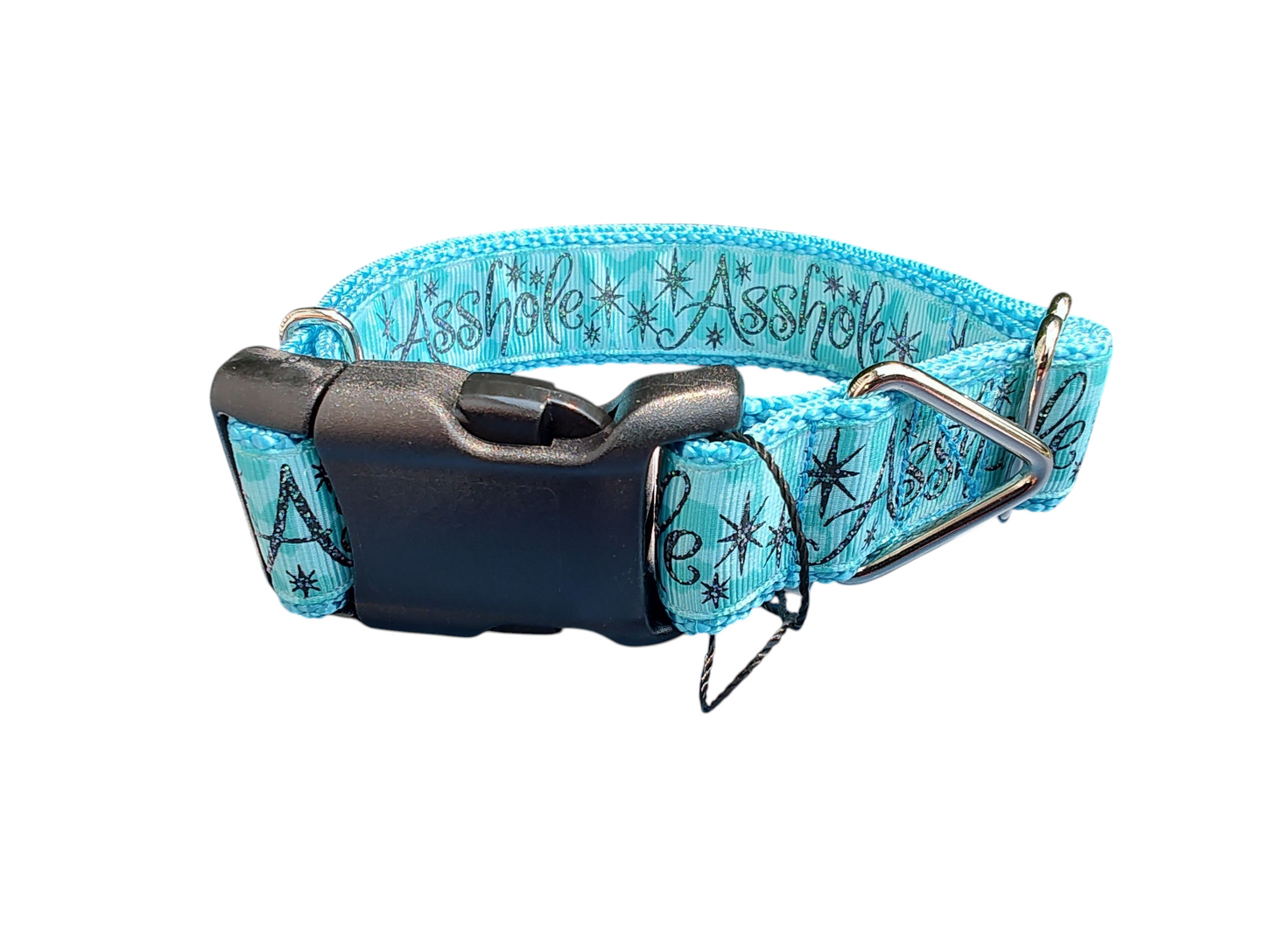 Asshole Blue Green Nylon Dog Collar