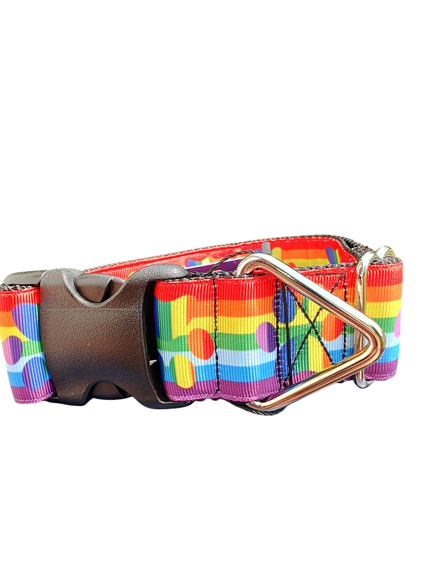 1.5" Wide Pride Paws Nylon Dog Collar