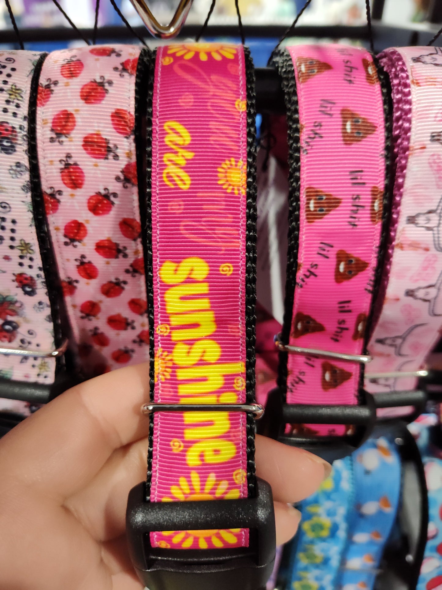 You Are My Sunshine Nylon Dog Collar