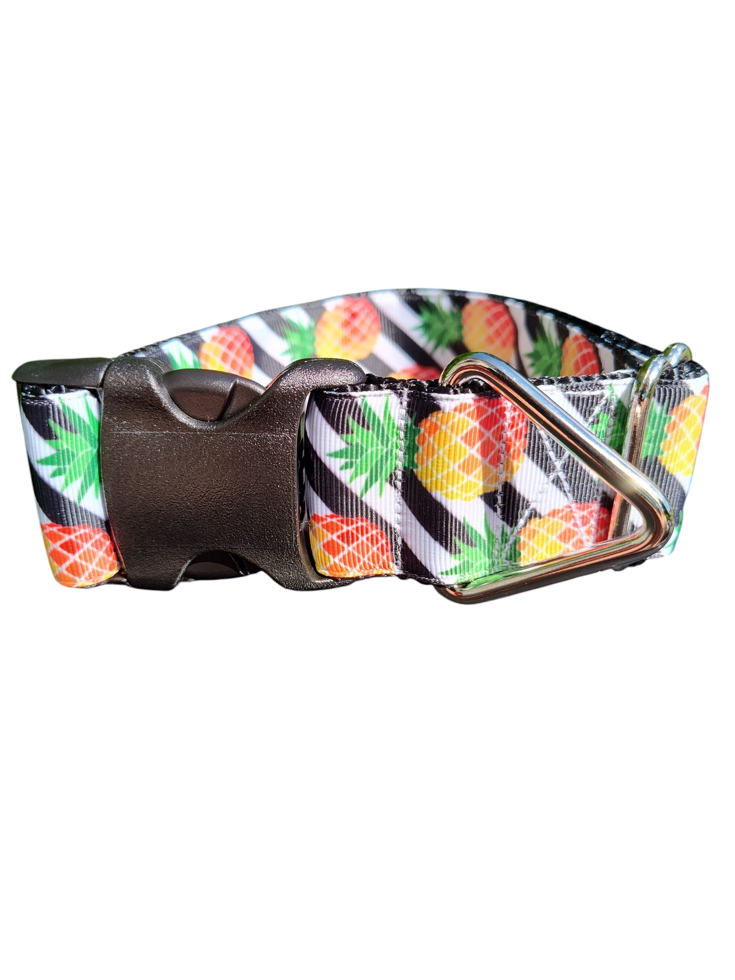 1.5" Wide Pineapple Stripes Nylon Dog Collar