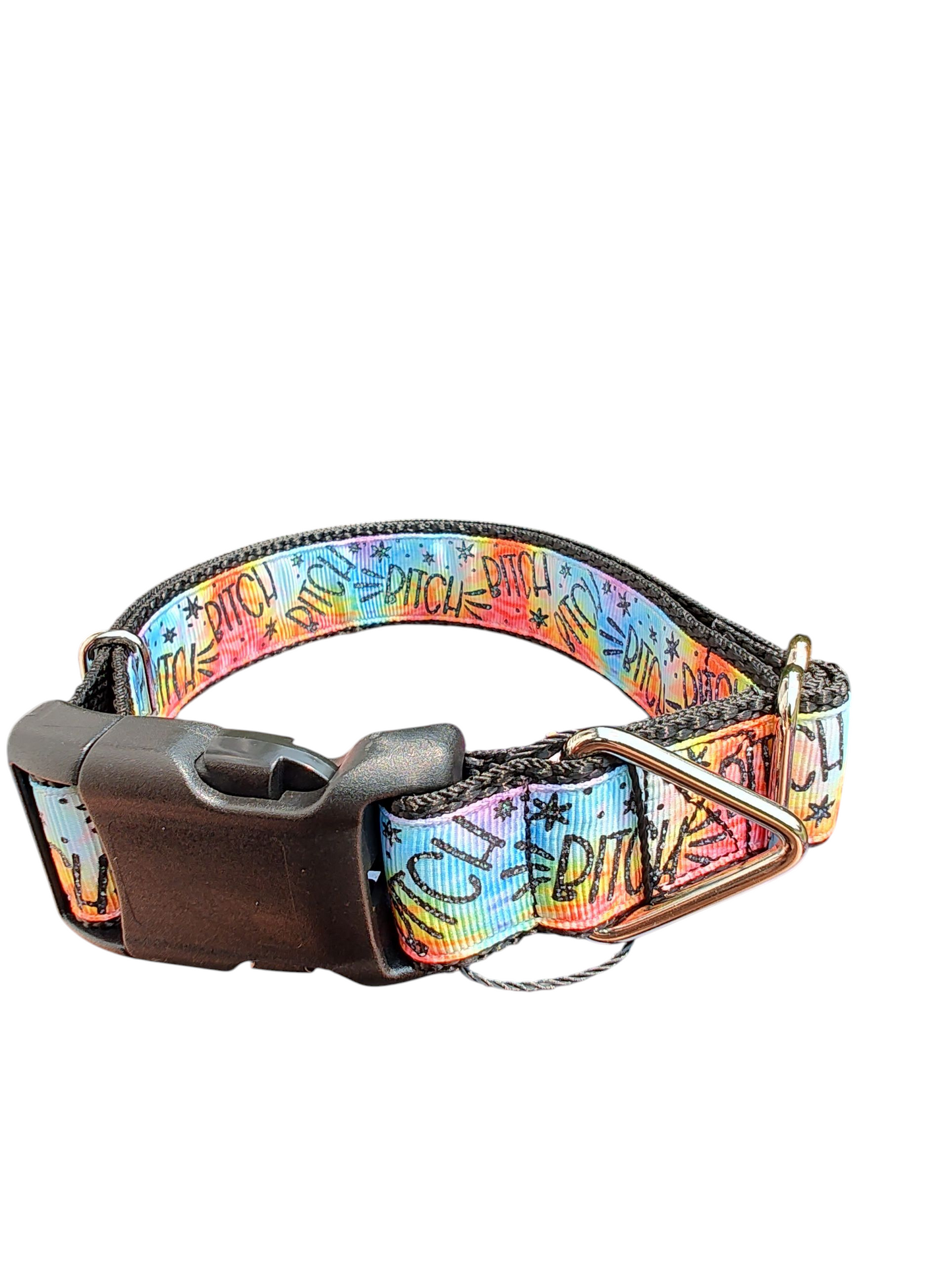 Bitch Rainbow Nylon Dog Collar
