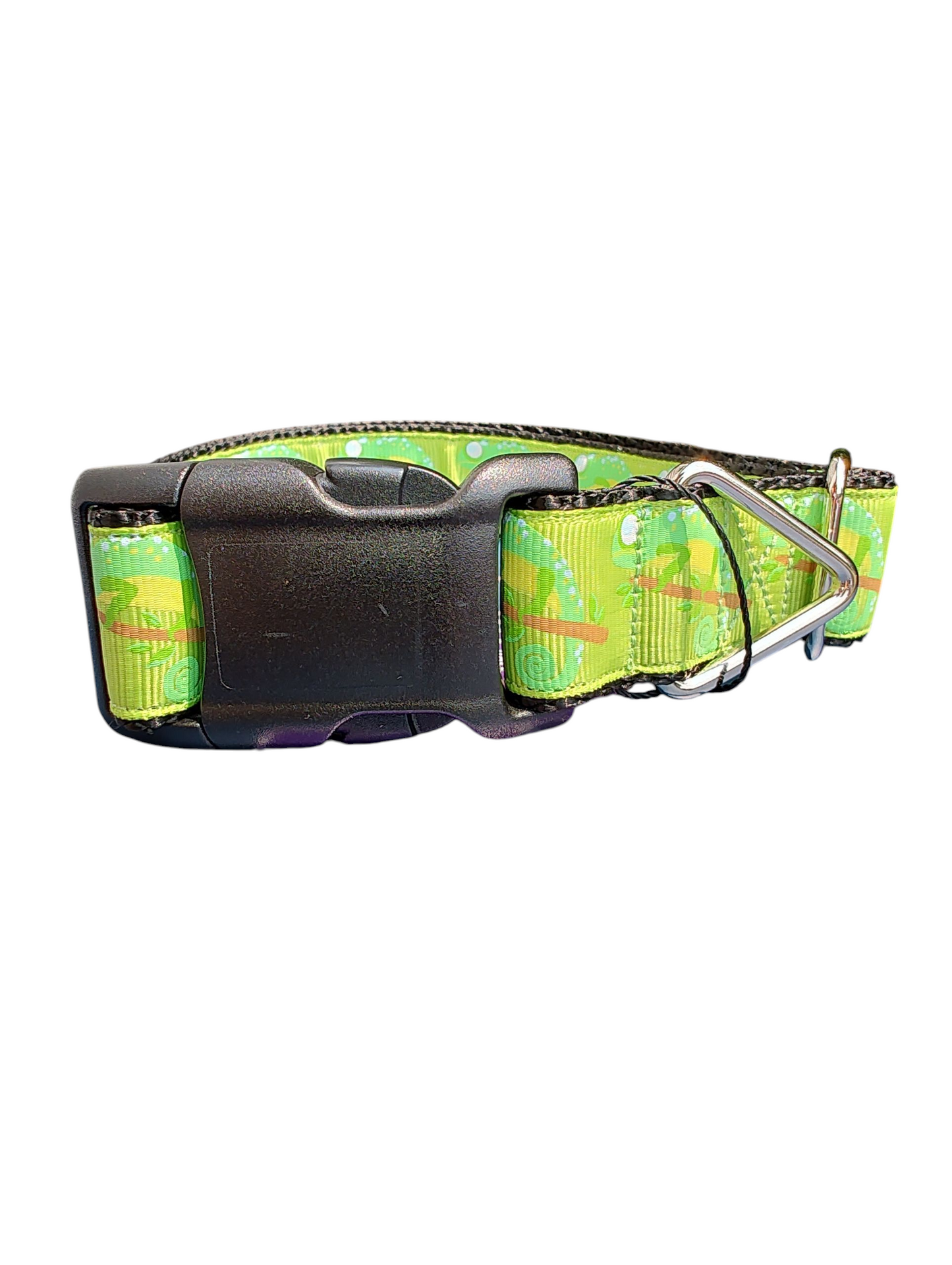 Chameleon Nylon Dog Collar