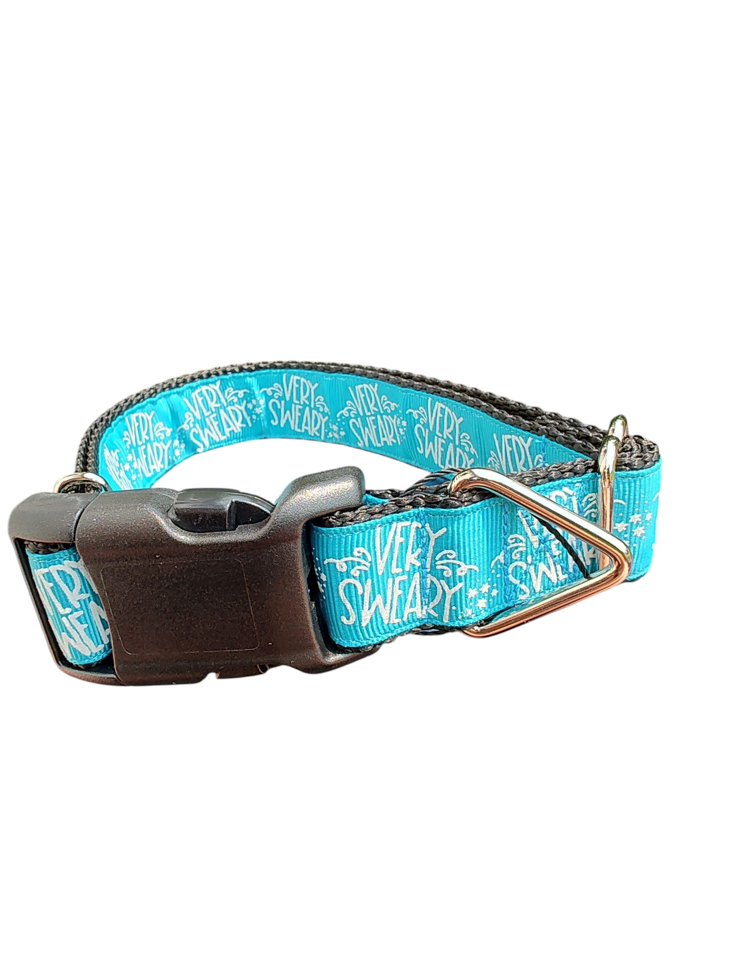 Very Sweary Nylon Dog Collar