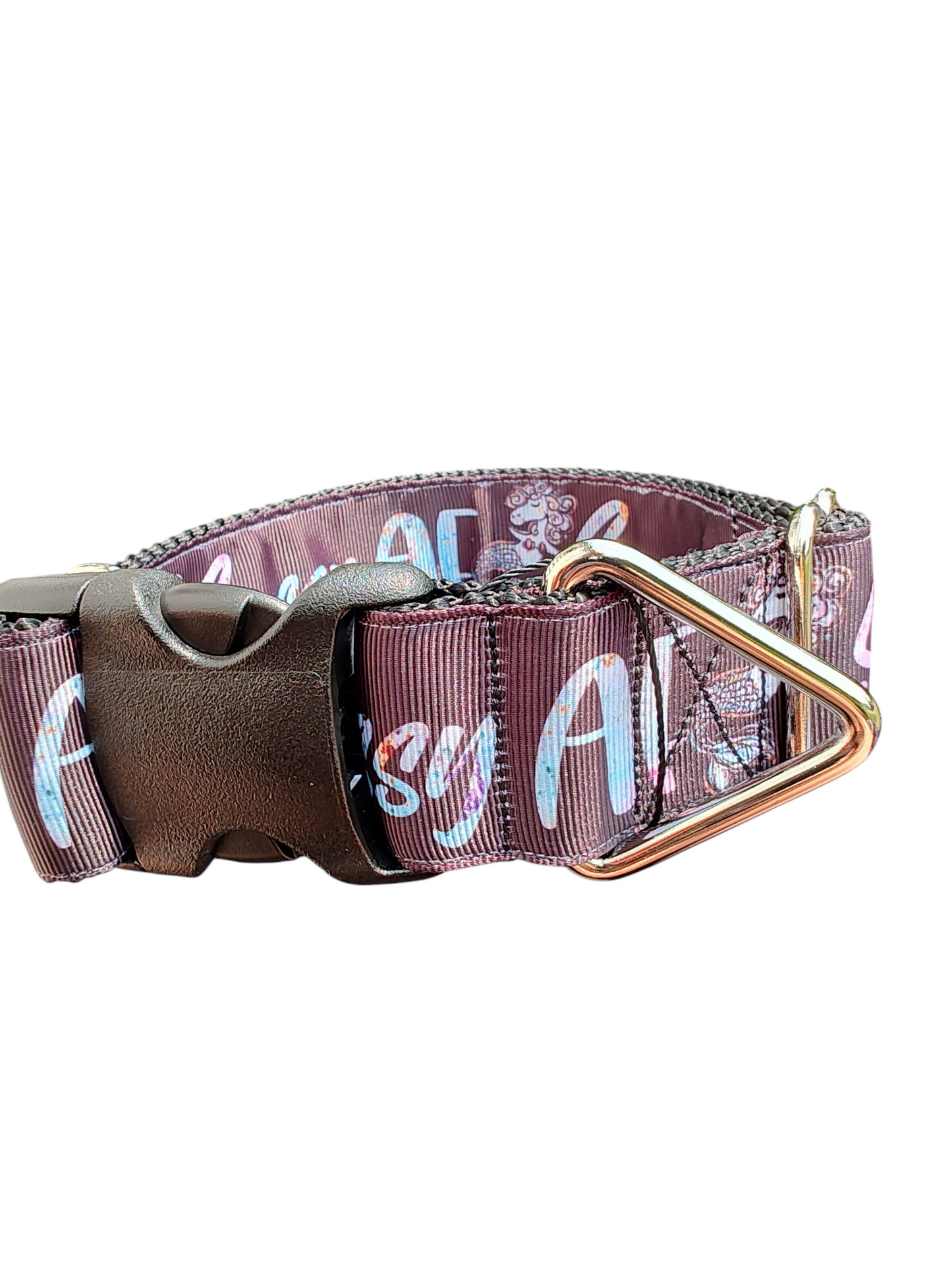 1.5" Wide Sassy AF Nylon Dog Collar