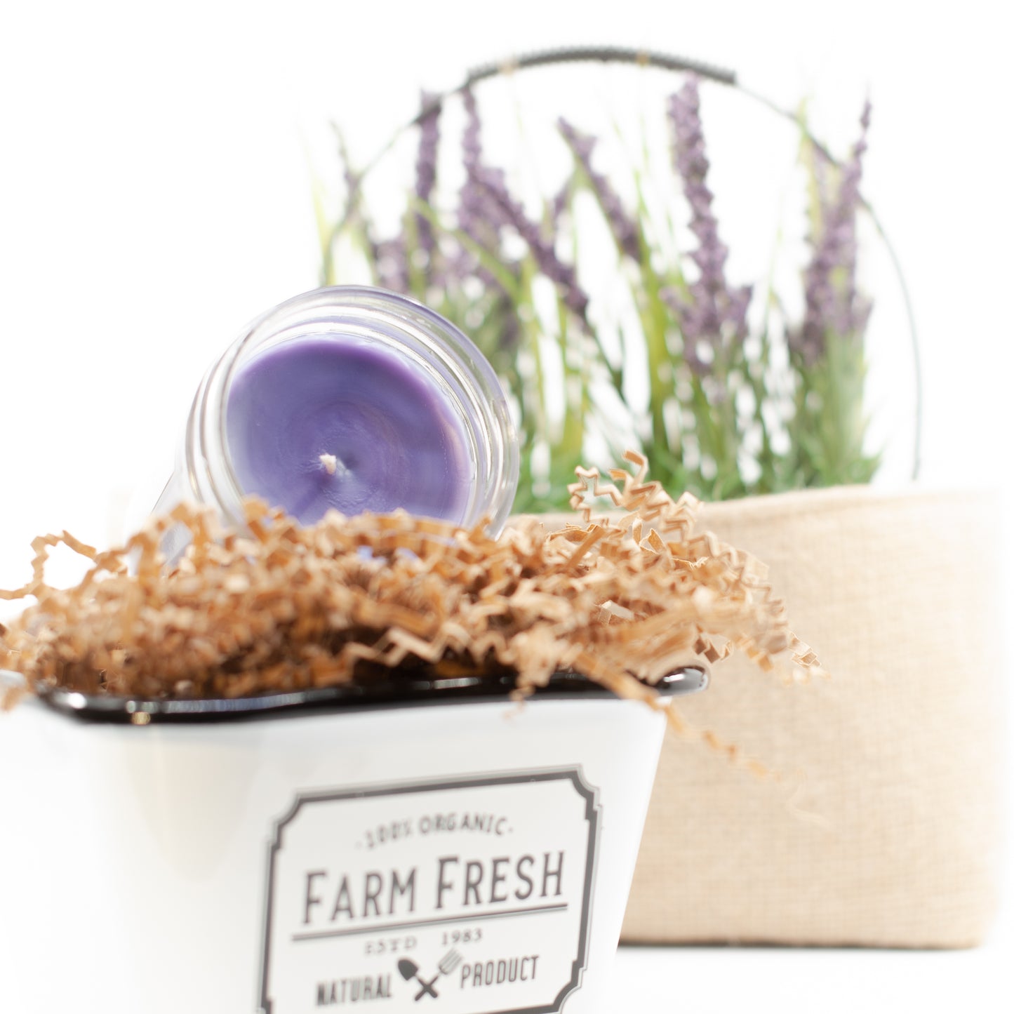 French Lilac