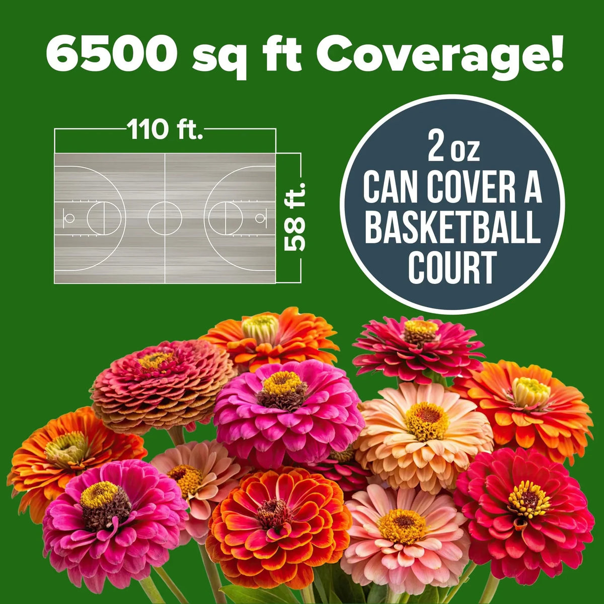 California Giant Zinnia Seed Mix – 7,500 Seeds, 2 oz