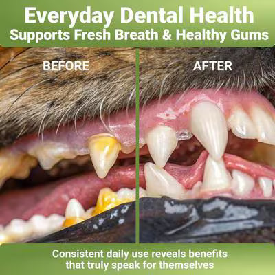 WuffWell Dog Dental Cleaning Powder with Probiotics