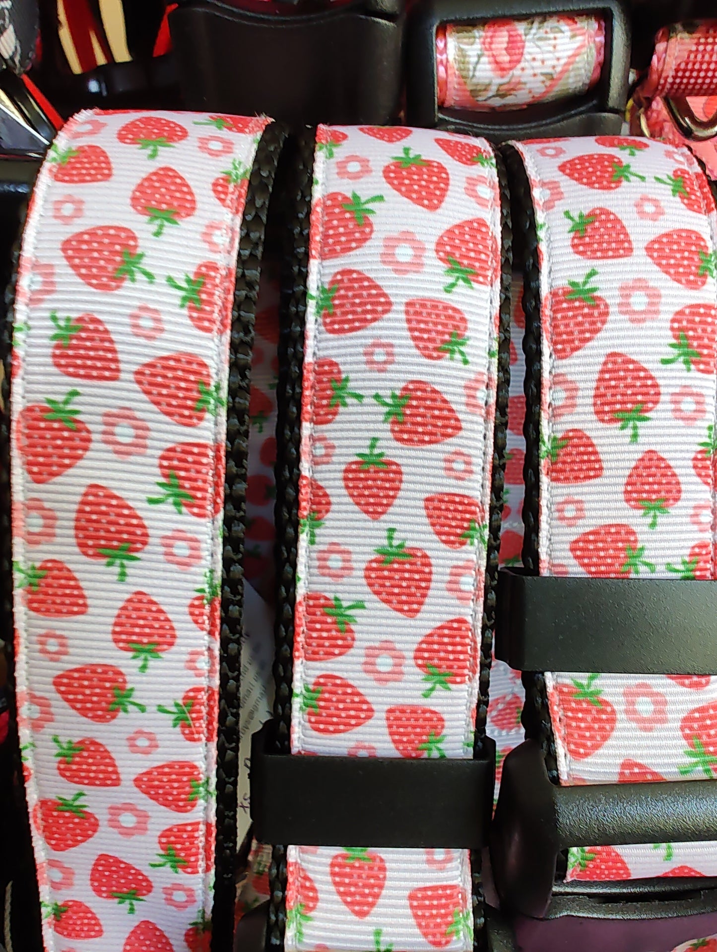 Strawberry Flowers Black Nylon Dog Collar MD, LG, XL, Leash