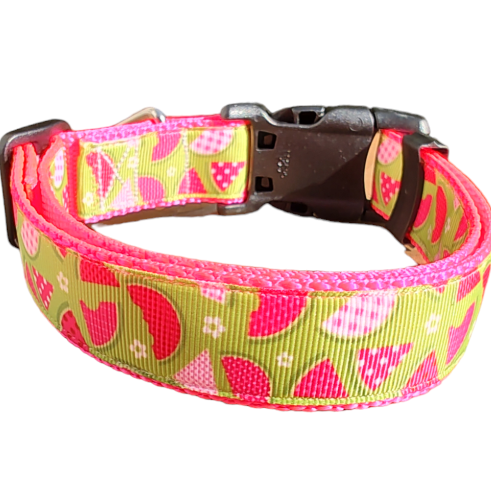 Watermelon Picnic Hot Pink Nylon Dog Collar MD, LG, XL, Leash