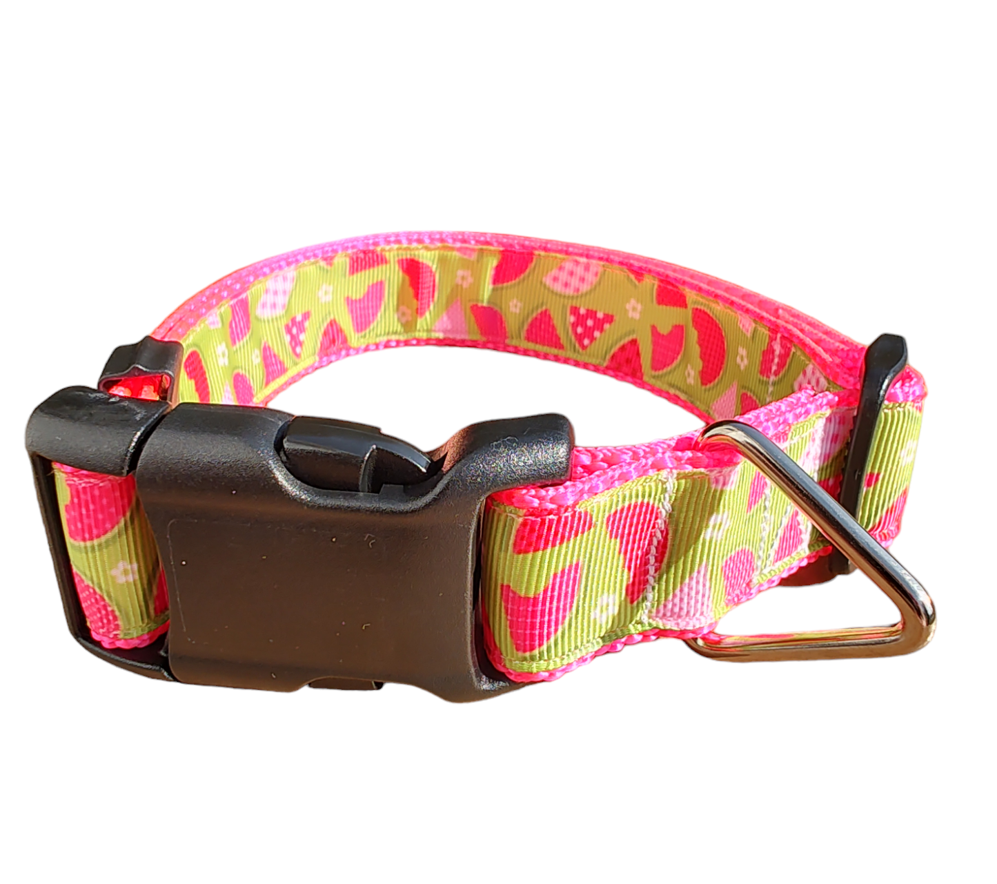 Watermelon Picnic Hot Pink Nylon Dog Collar MD, LG, XL, Leash