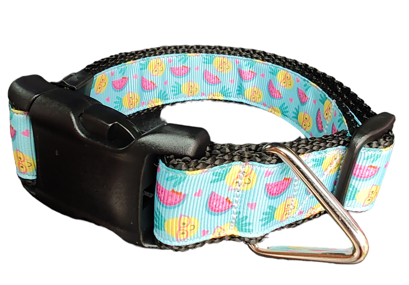 Fruit Party Nylon Dog Collar