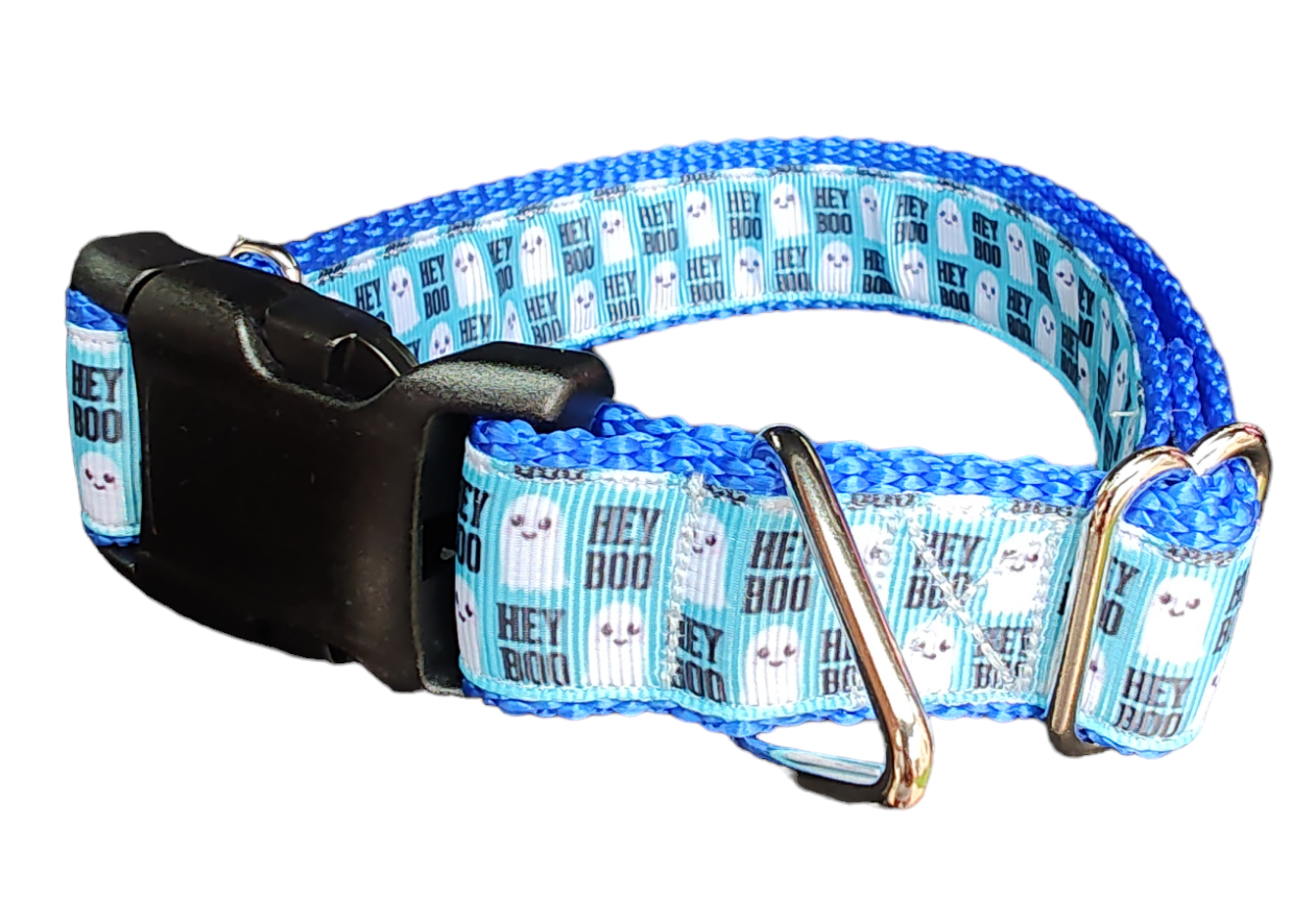 Halloween Hey BOO! Nylon Dog Collar
