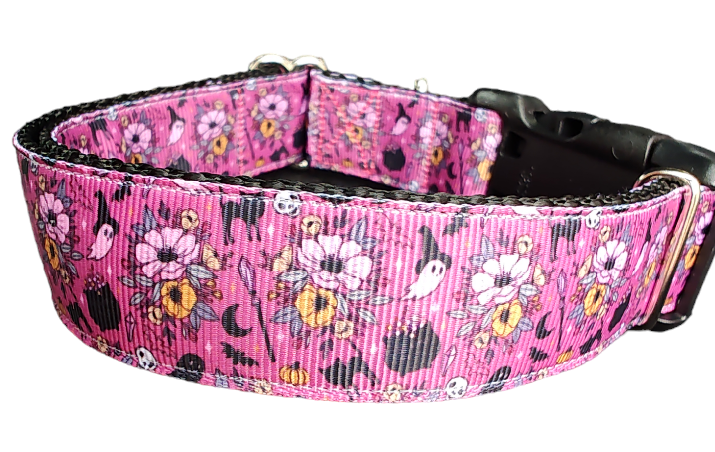 Halloween Floral Witch Nylon Dog Collar