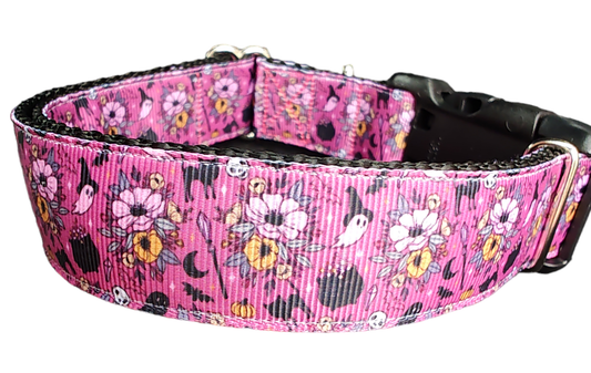 Halloween Floral Witch Nylon Dog Collar