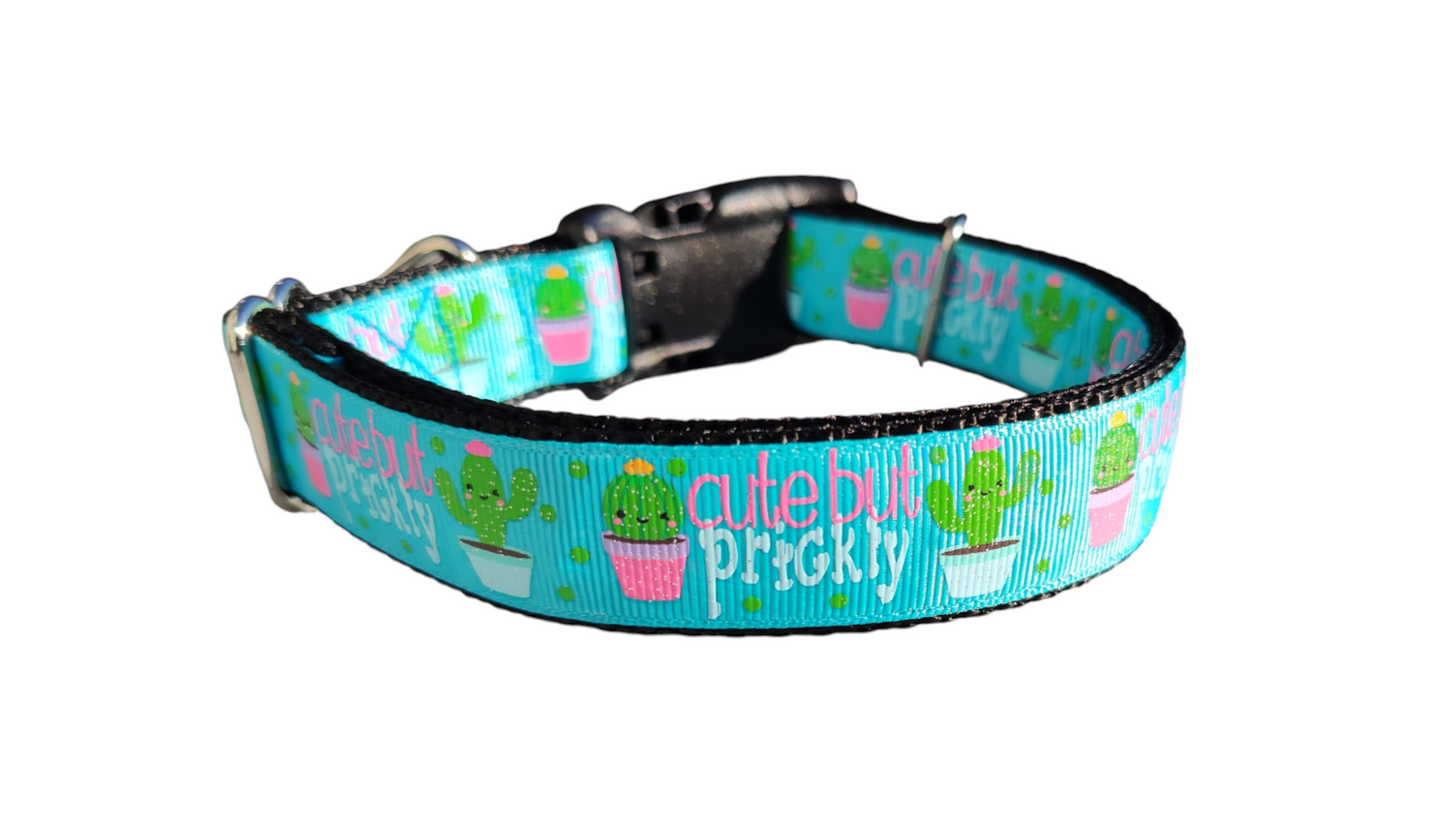 Cute But Prickly Cactus Nylon Dog Collar