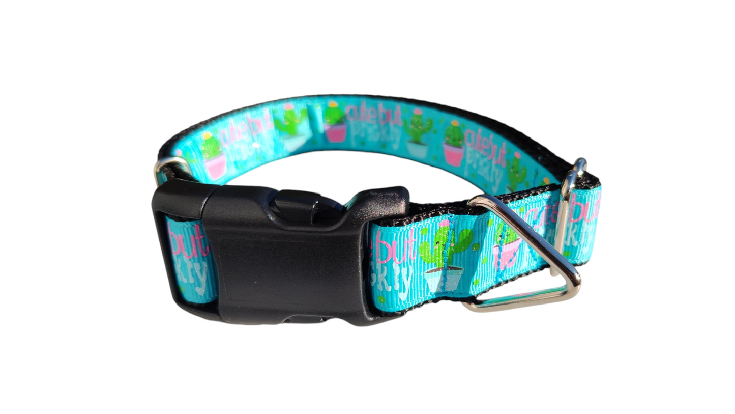 Cute But Prickly Cactus Nylon Dog Collar