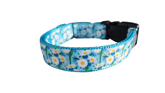 White Daisies Nylon Dog Collar