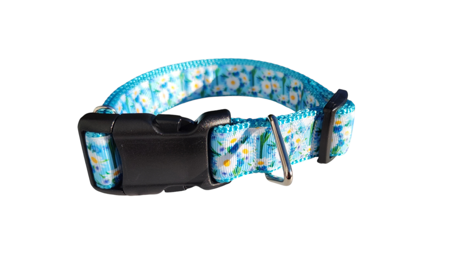 White Daisies Nylon Dog Collar
