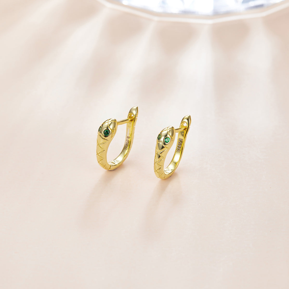 925 Sterling Silver Plated Platinum CZ Earrings for Women