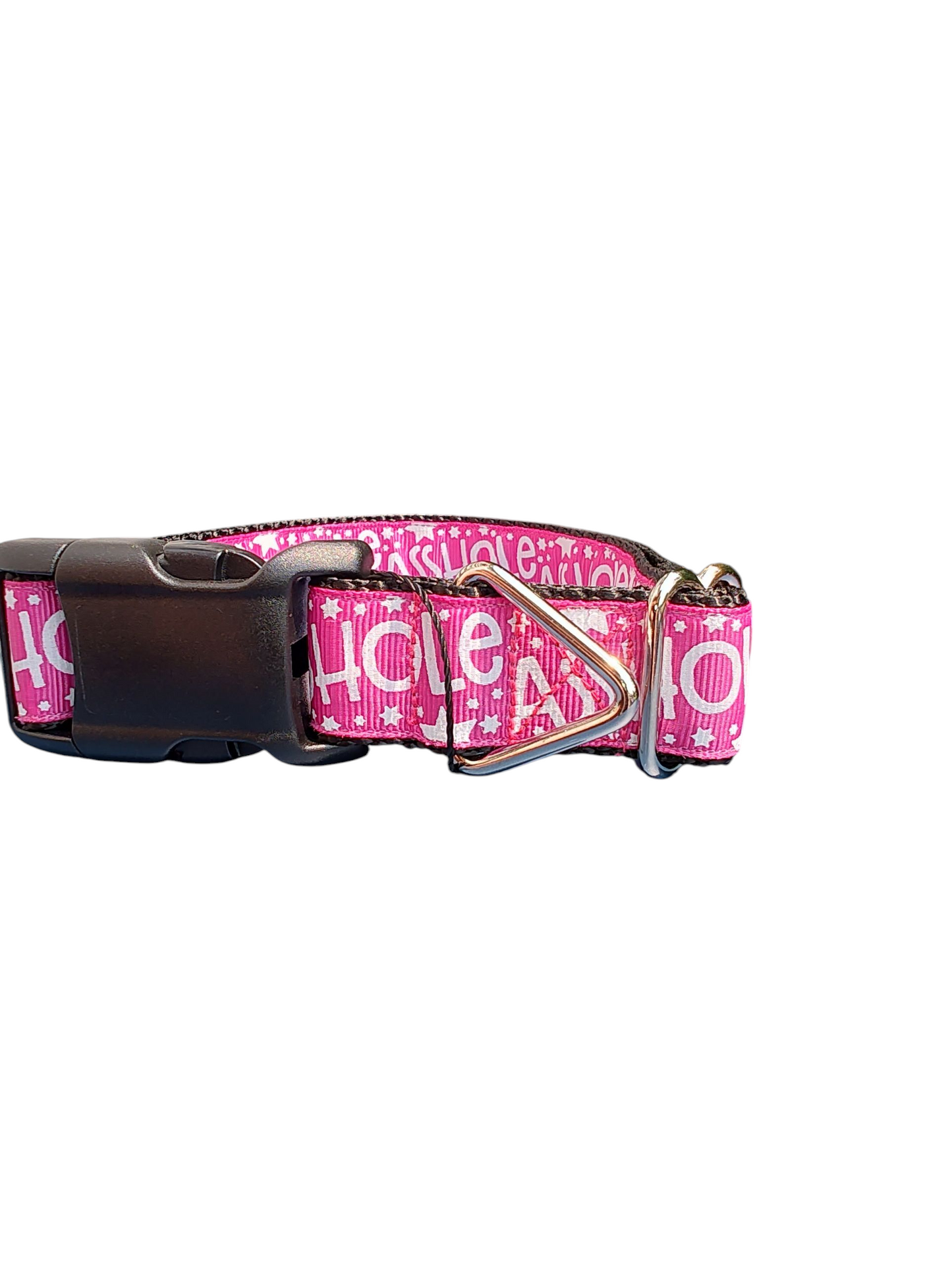 Asshole Raspberry Pink Nylon Dog Collar