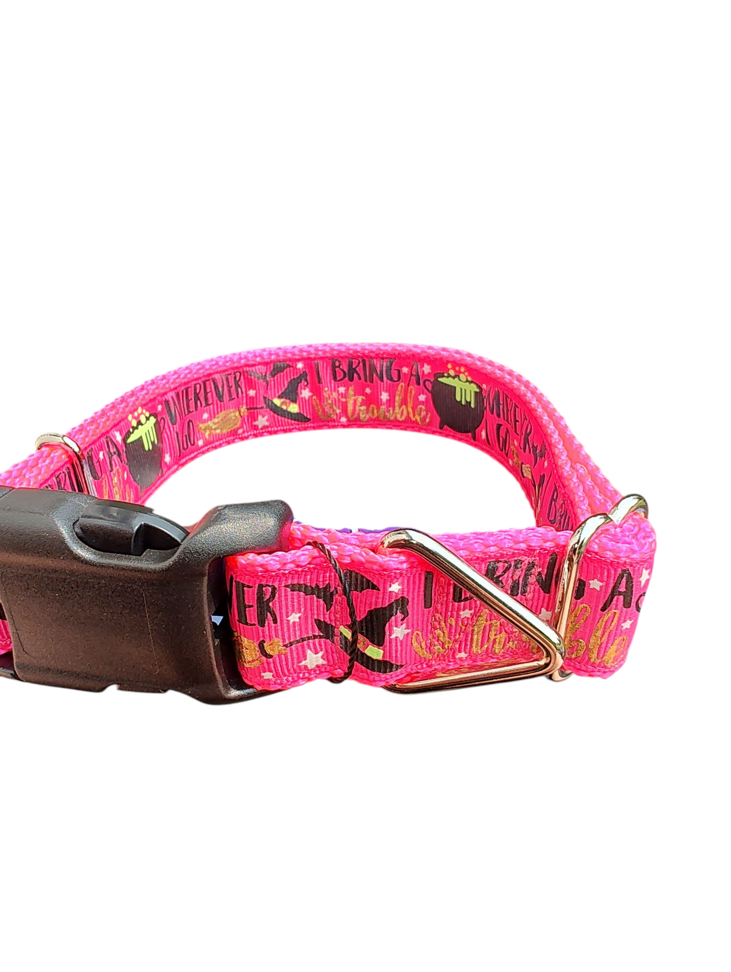 I Bring Trouble Nylon Dog Collar