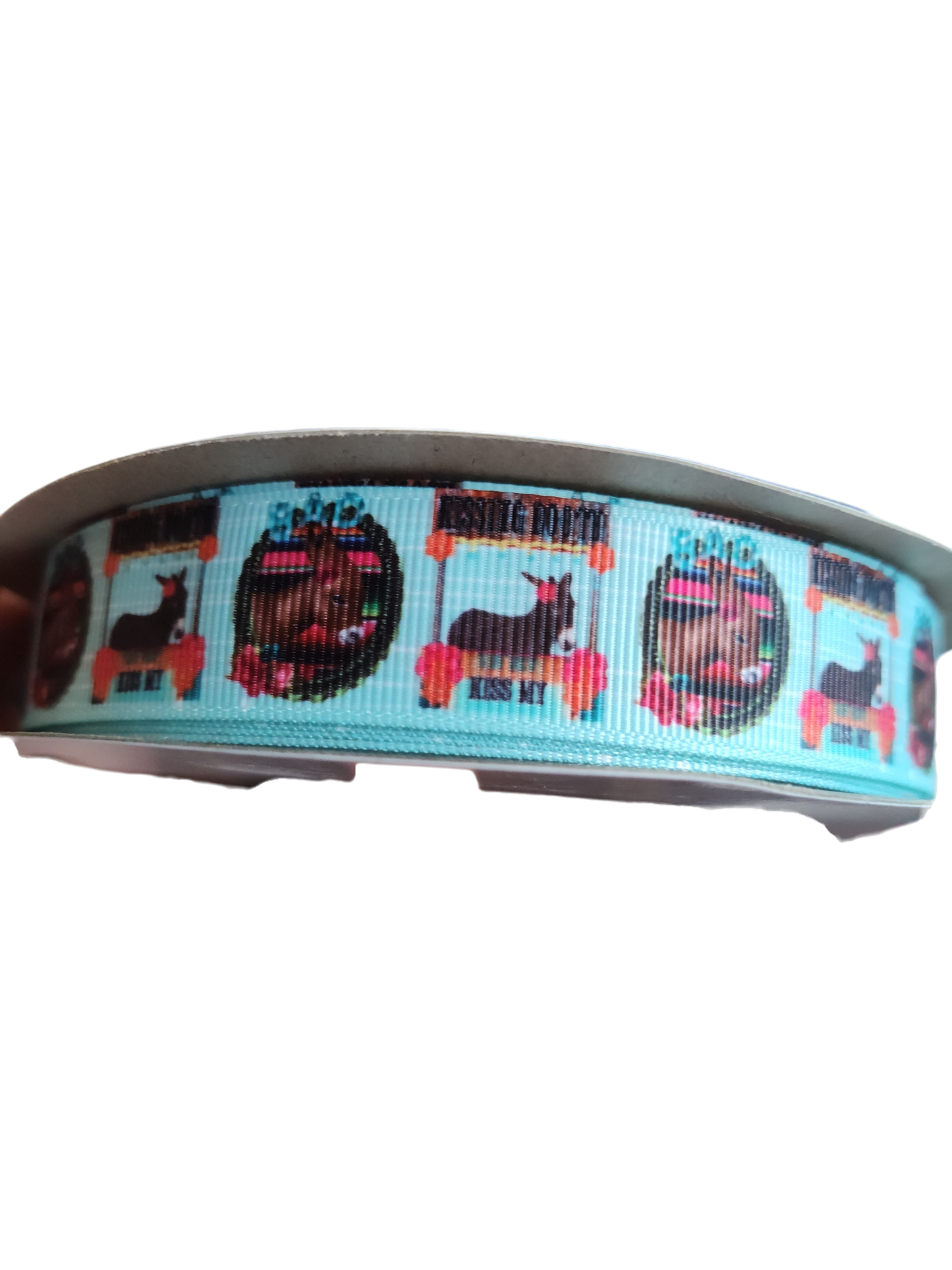 Donkey (Ass) Kissing Booth Nylon Dog Collar