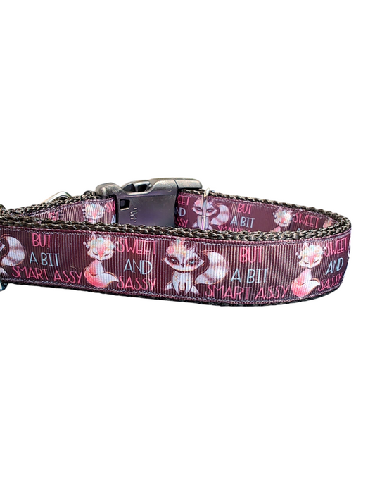 Sweet, Sassy, Smart Assy Nylon Dog Collar