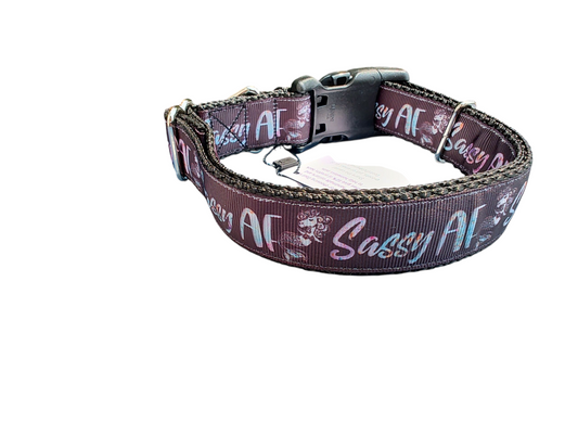 Sassy AF Nylon Dog Collar