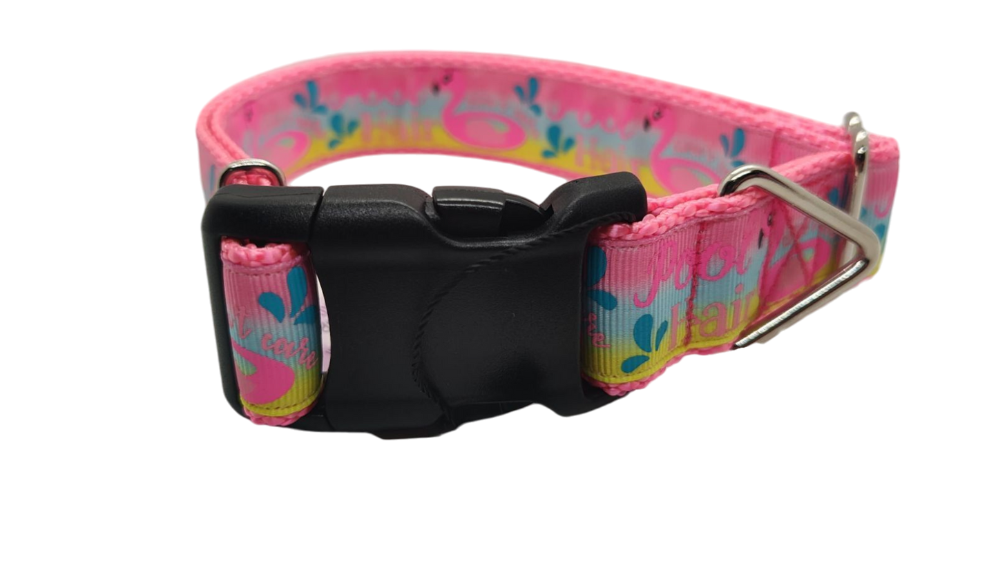 Pool Hair Don't Care Nylon Dog Collar
