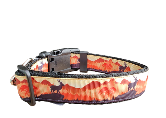 Sunset Forest Black Nylon Dog Collar LG, XL, Leash