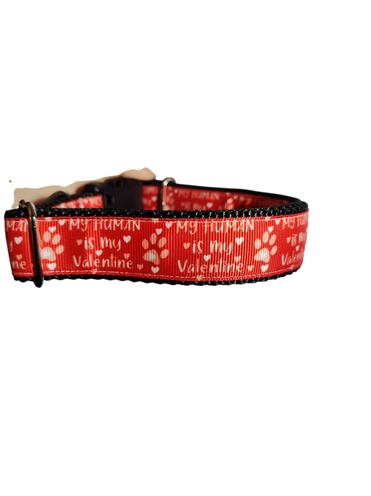 My Human Is My Valentine Nylon Dog Collar