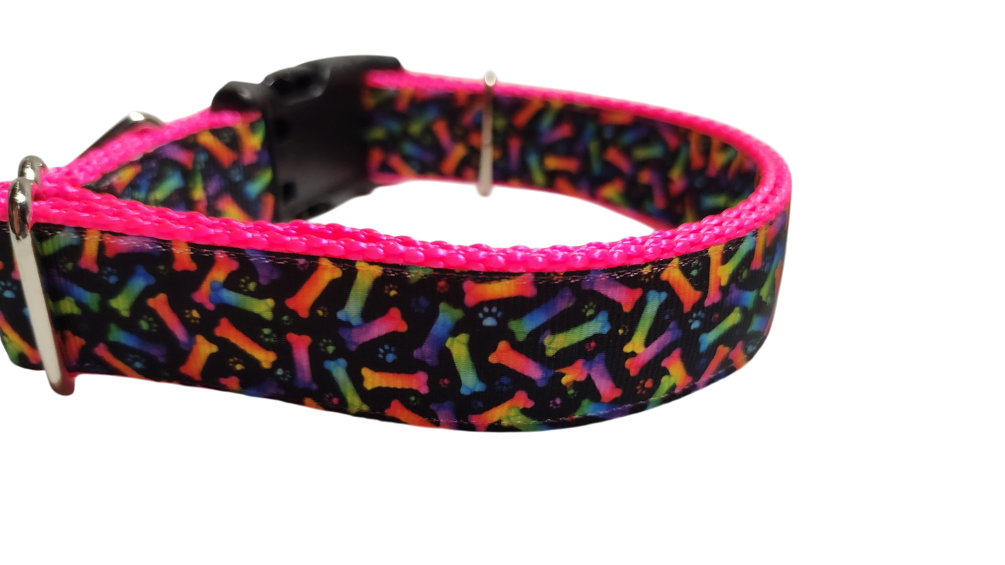 Neon Bones Nylon Dog Collar MD, LG, XL, Leash