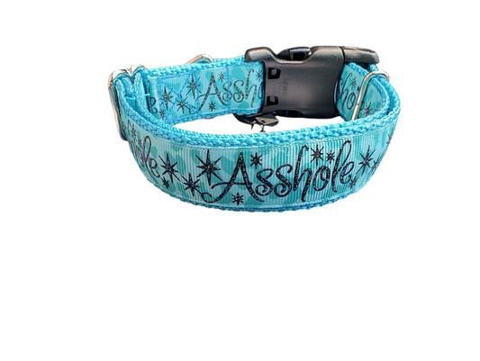 Asshole Blue Green Nylon Dog Collar