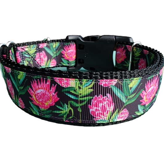 Protea Flower Nylon Dog Collar