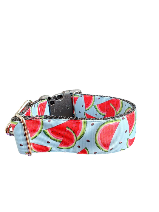 1.5" Wide Watermelon Wedges Nylon Dog Collar
