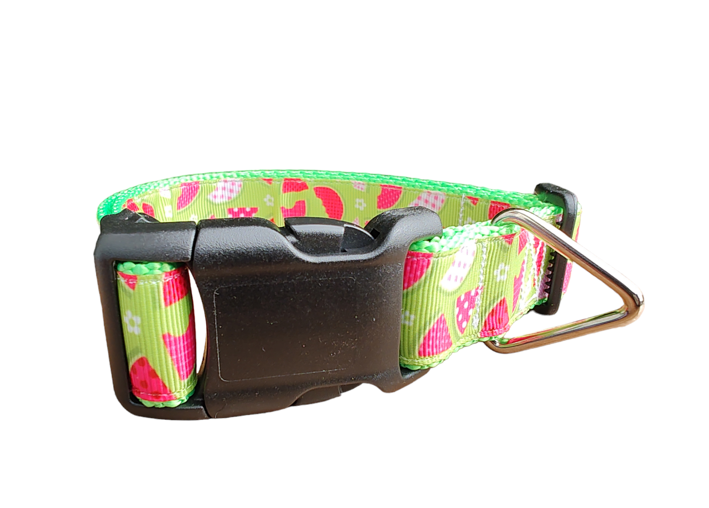 Watermelon Picnic Neon Green Nylon Dog Collar MD, LG, XL, Leash