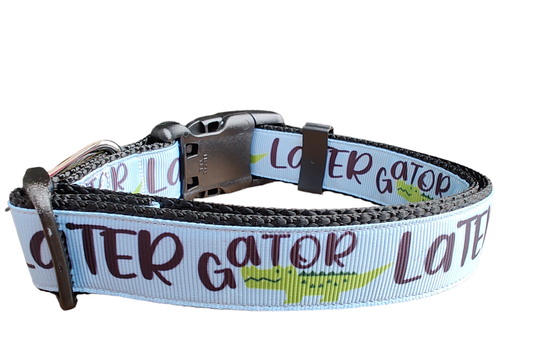 Later Gator Black Nylon Dog Collar MD, LG, XL, Leash