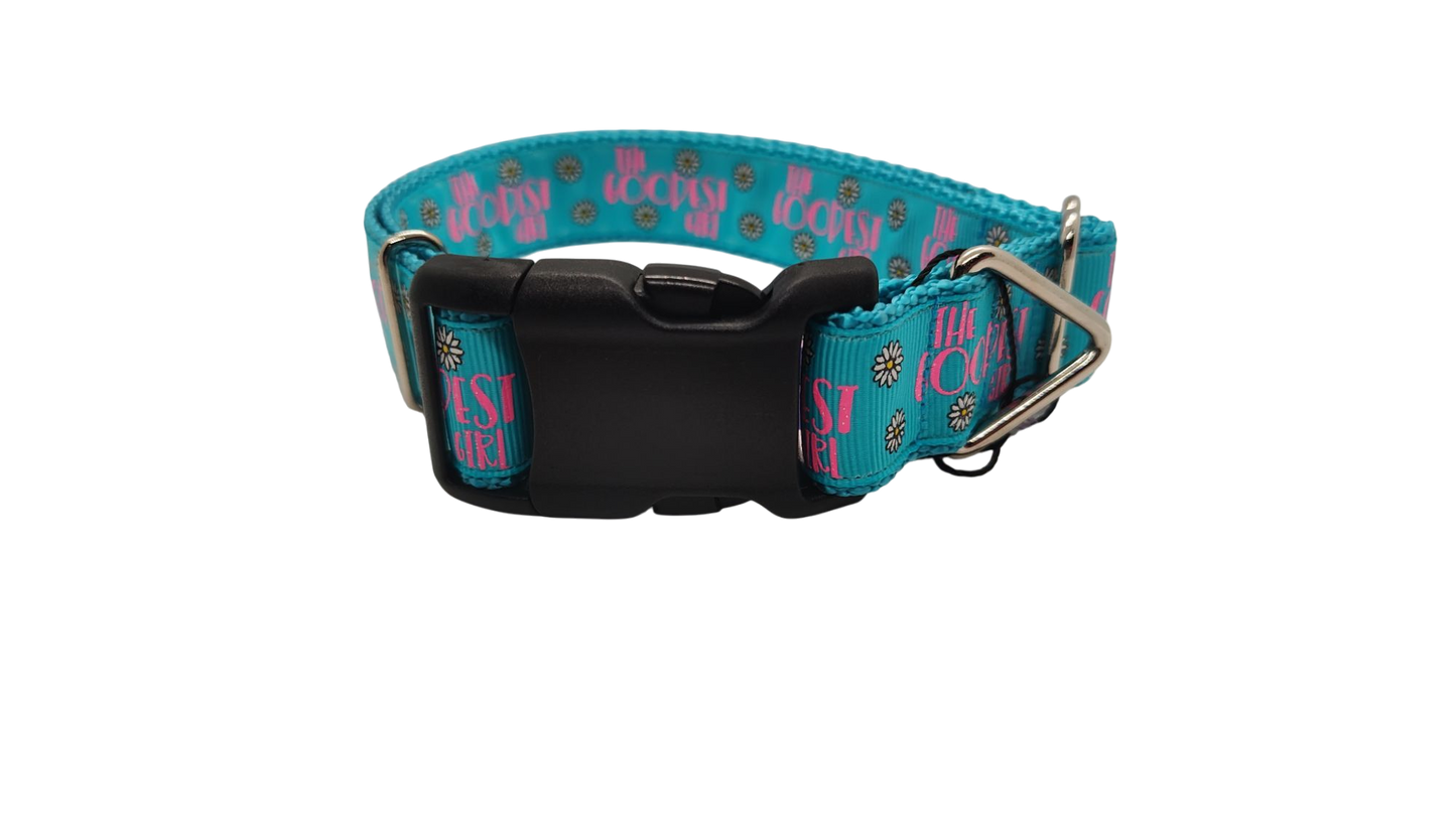 The Goodest Girl Nylon Dog Collar
