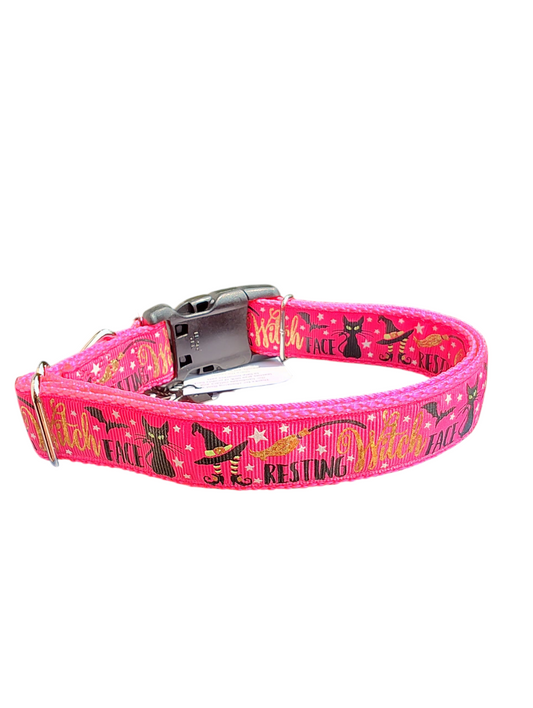 Resting Witch Face Nylon Dog Collar