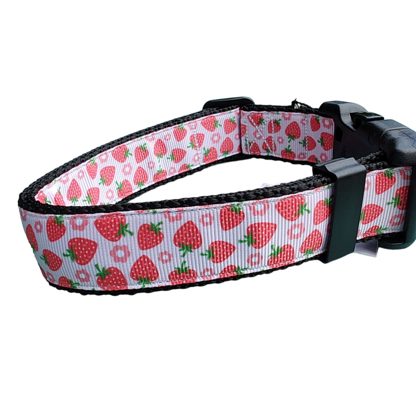 Strawberry Flowers Black Nylon Dog Collar MD, LG, XL, Leash