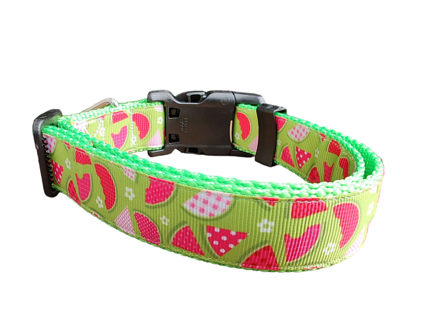 Watermelon Picnic Neon Green Nylon Dog Collar MD, LG, XL, Leash