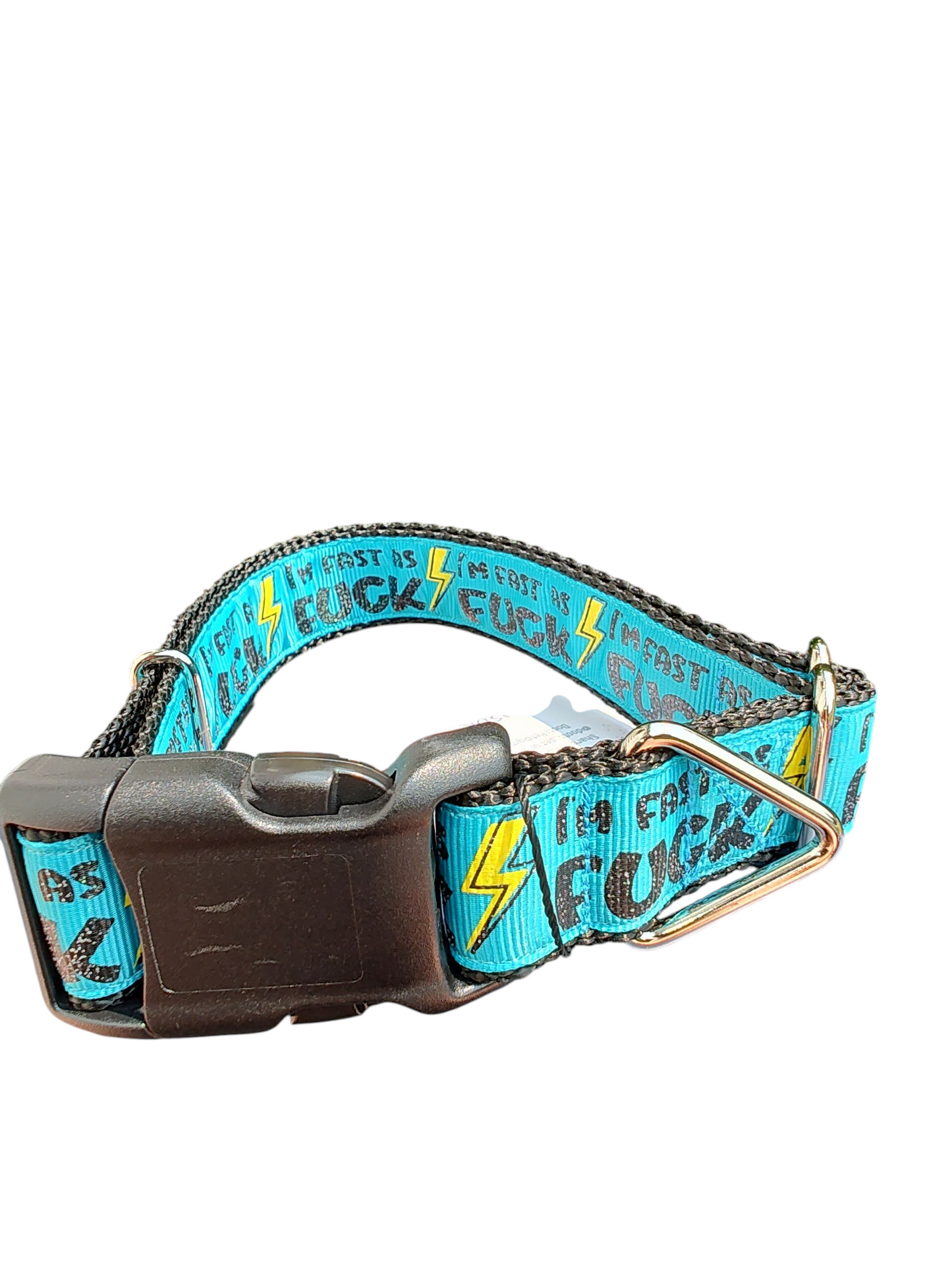 Fast As Fuck Nylon Dog Collar