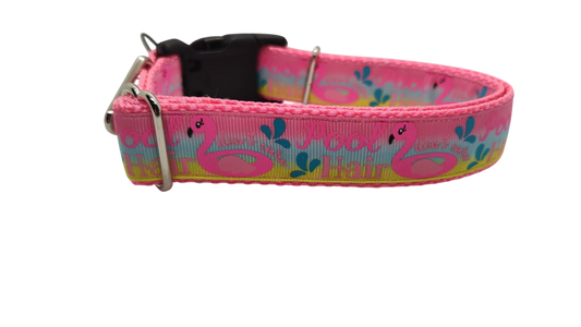Pool Hair Don't Care Nylon Dog Collar