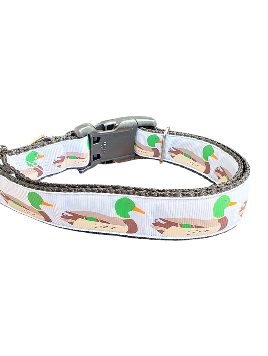 Swimming Ducks Nylon Dog Collar