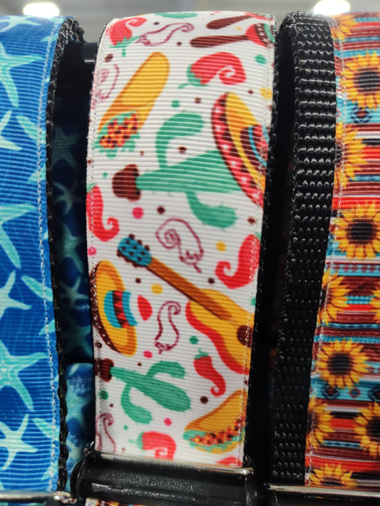 1.5" Wide Fiesta Nylon Dog Collar